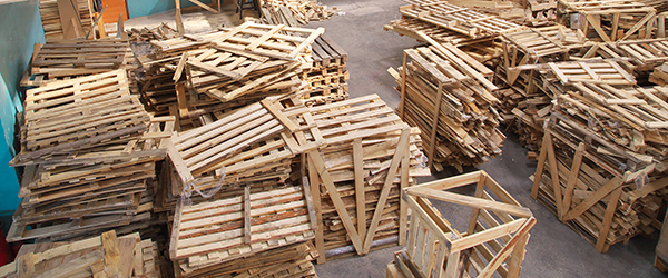 Stacks of old and broken pallets.